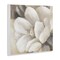 Stupell Industries Magnolia Flower Petals Wall Plaque Art Design by Lanie Loreth